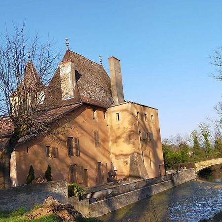 Château de la Venerie Denicé Exterior foto