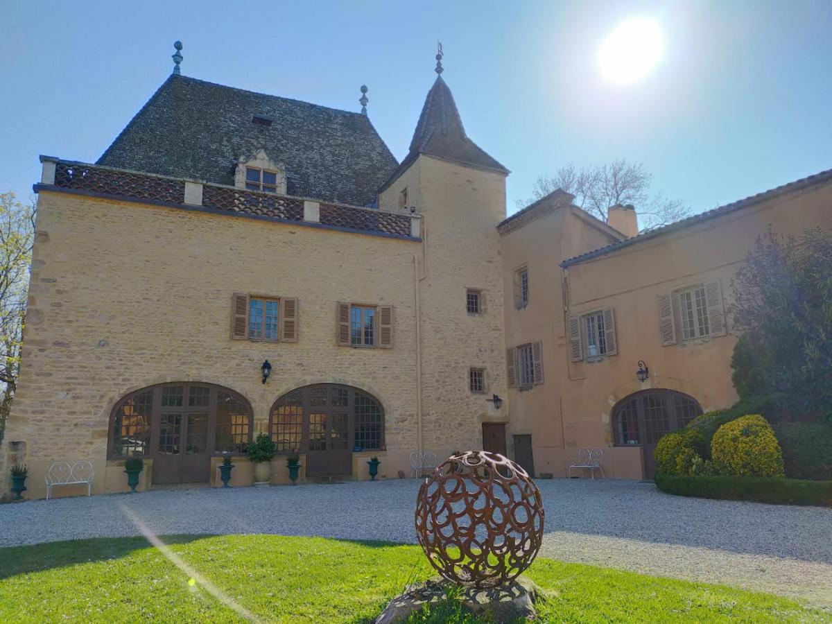 Château de la Venerie Denicé Exterior foto