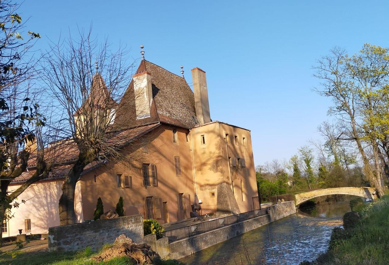 Château de la Venerie Denicé Exterior foto