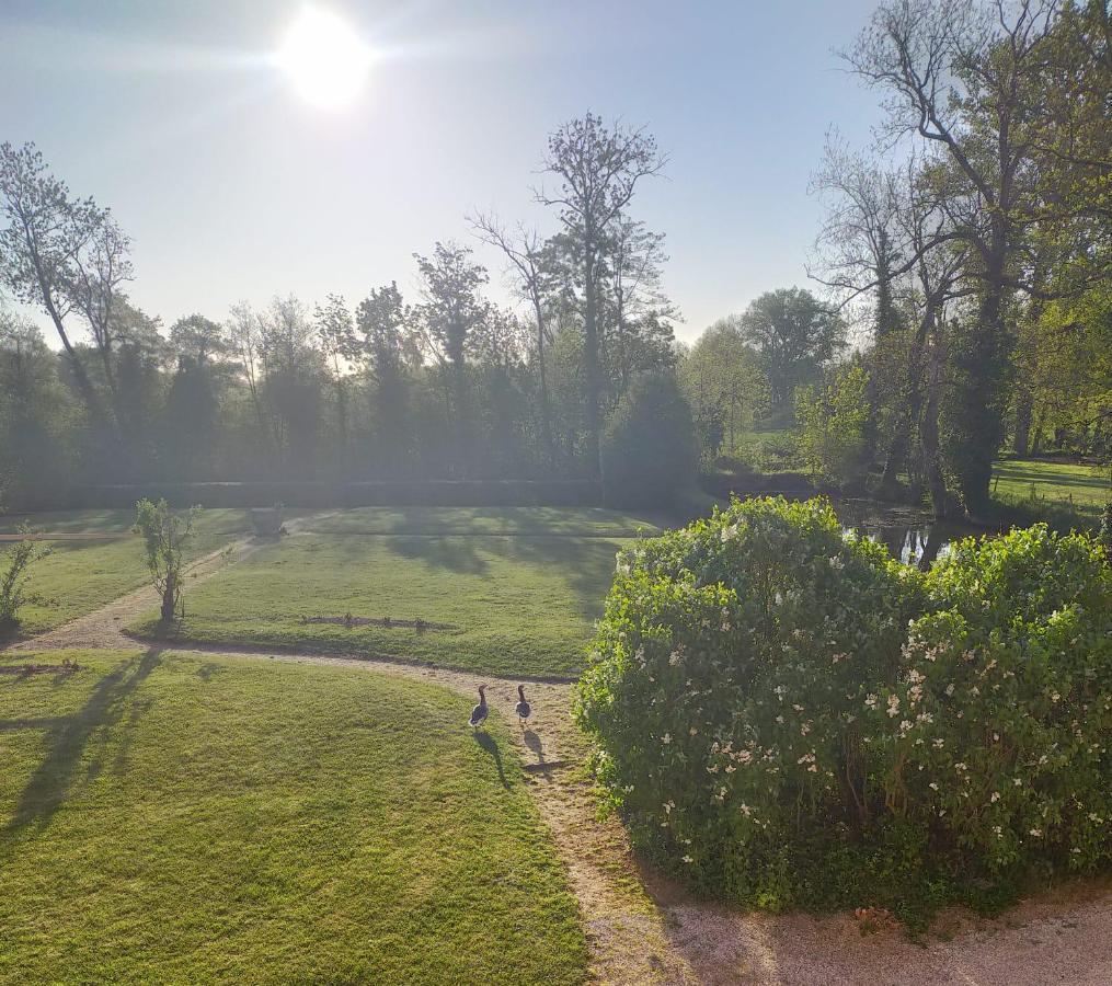 Château de la Venerie Denicé Exterior foto