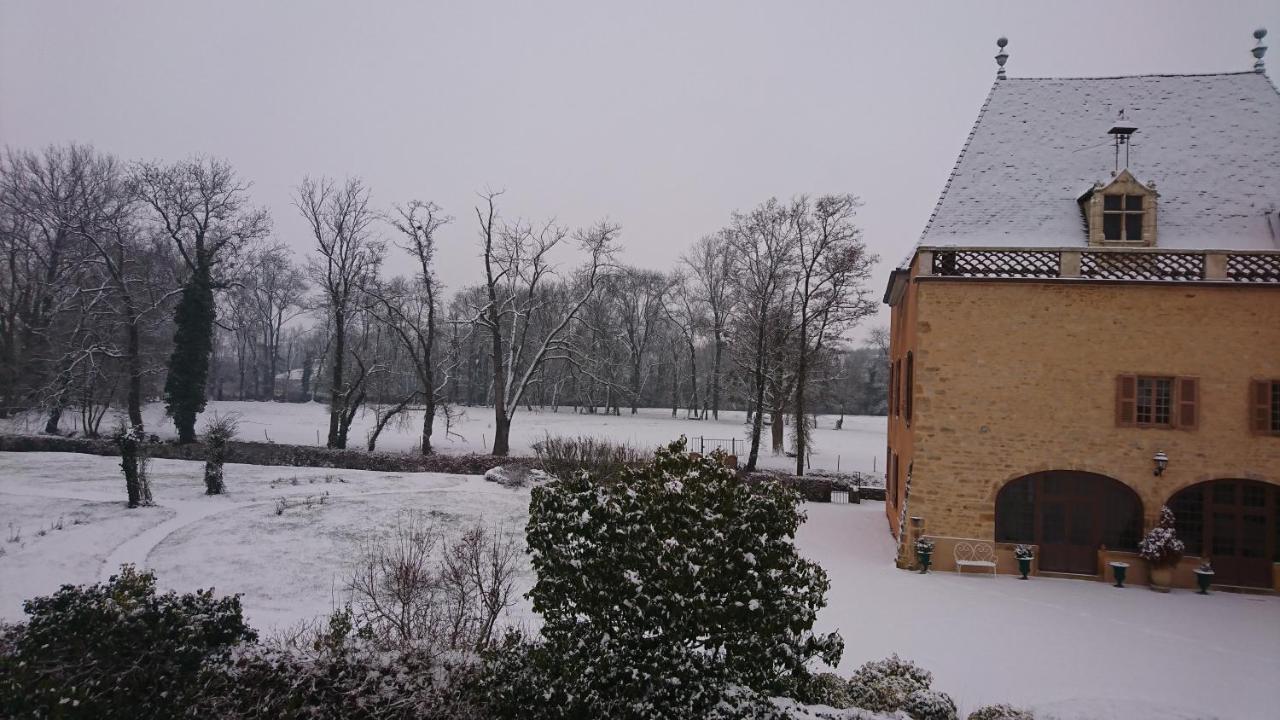 Château de la Venerie Denicé Exterior foto